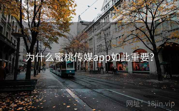 为什么蜜桃传媒app如此重要？